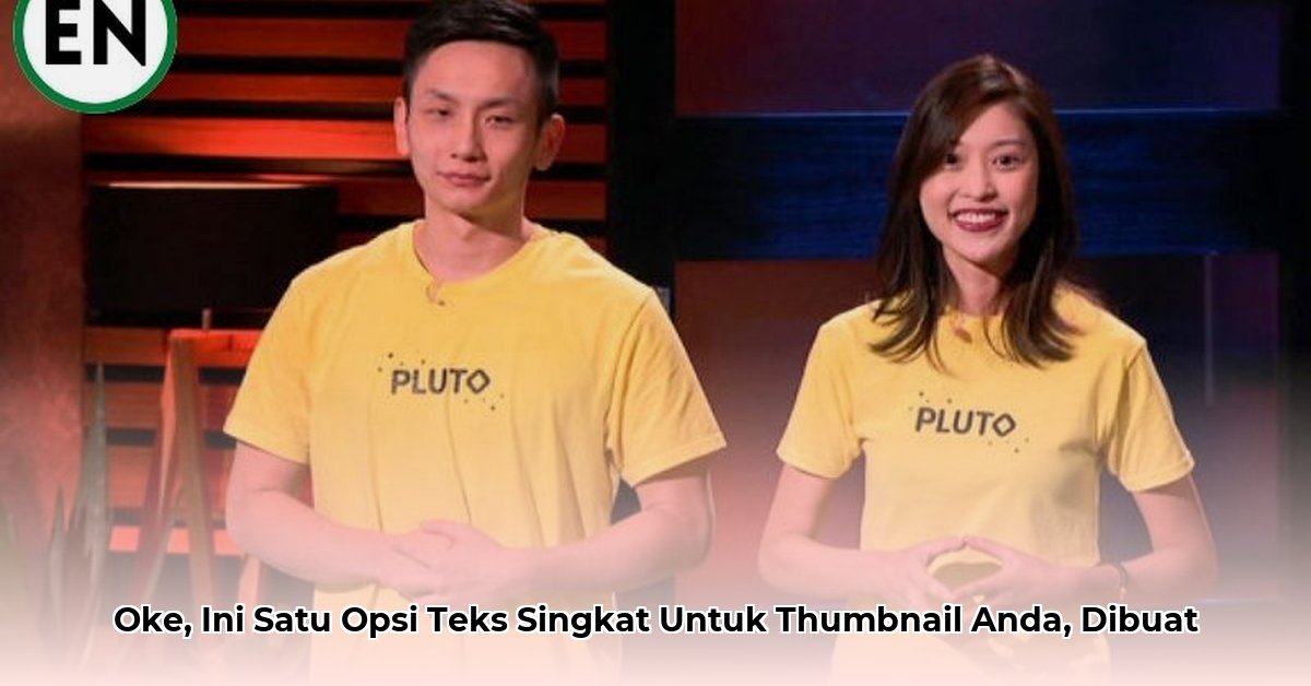 pluto-pillows-net-worth